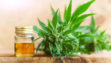 CBD oil hemp products