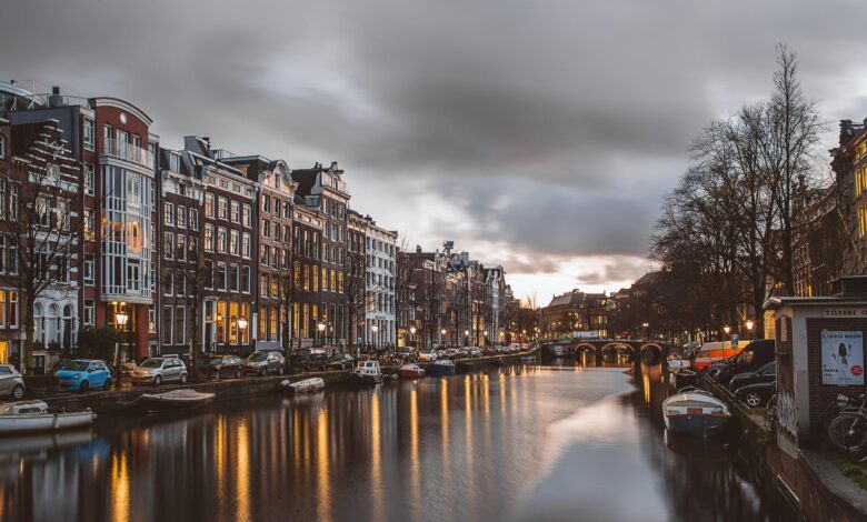 Top 8 Vegan Restaurants to Try in Amsterdam